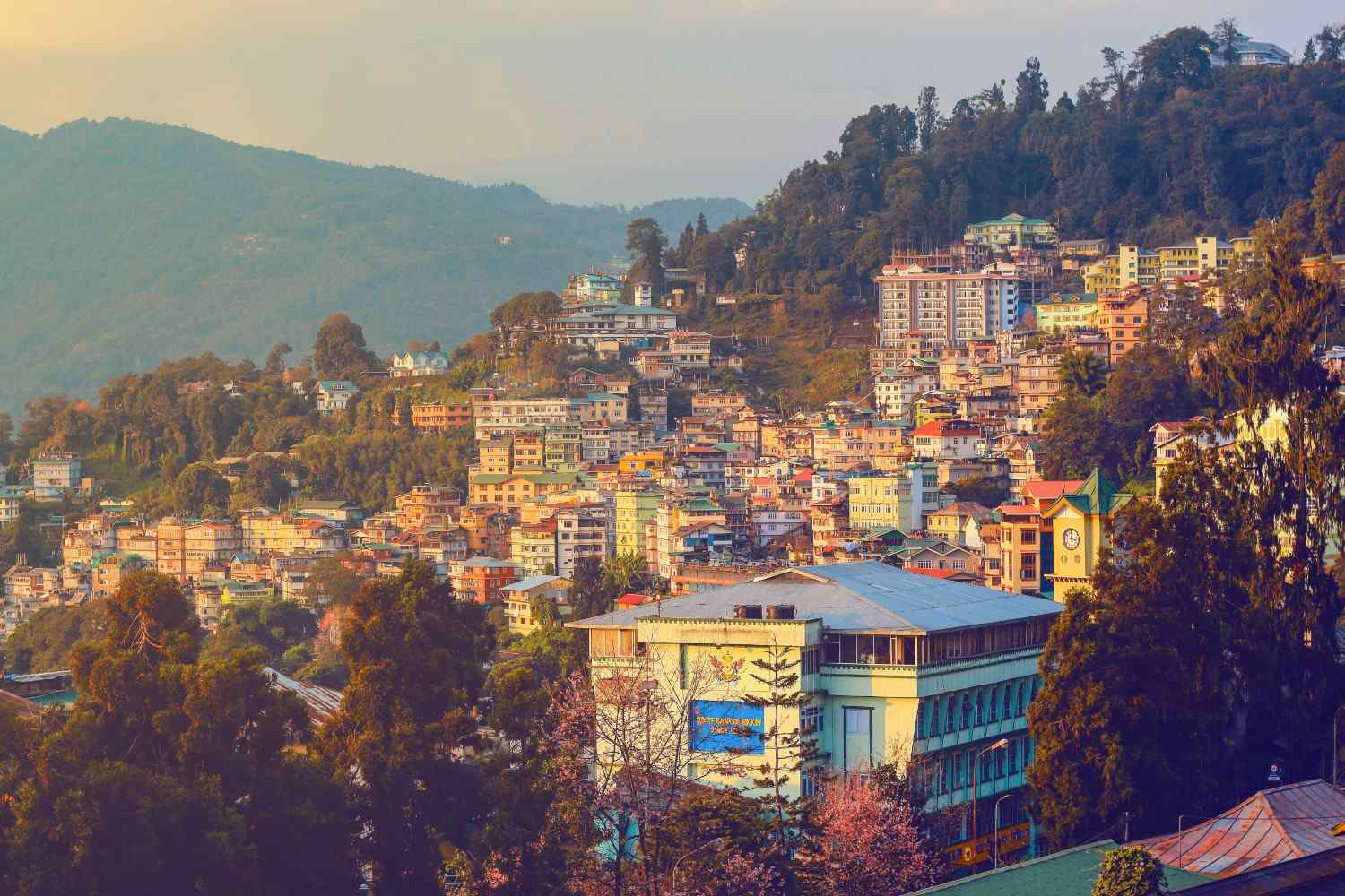 Digital Marketing Agency in sikkim 