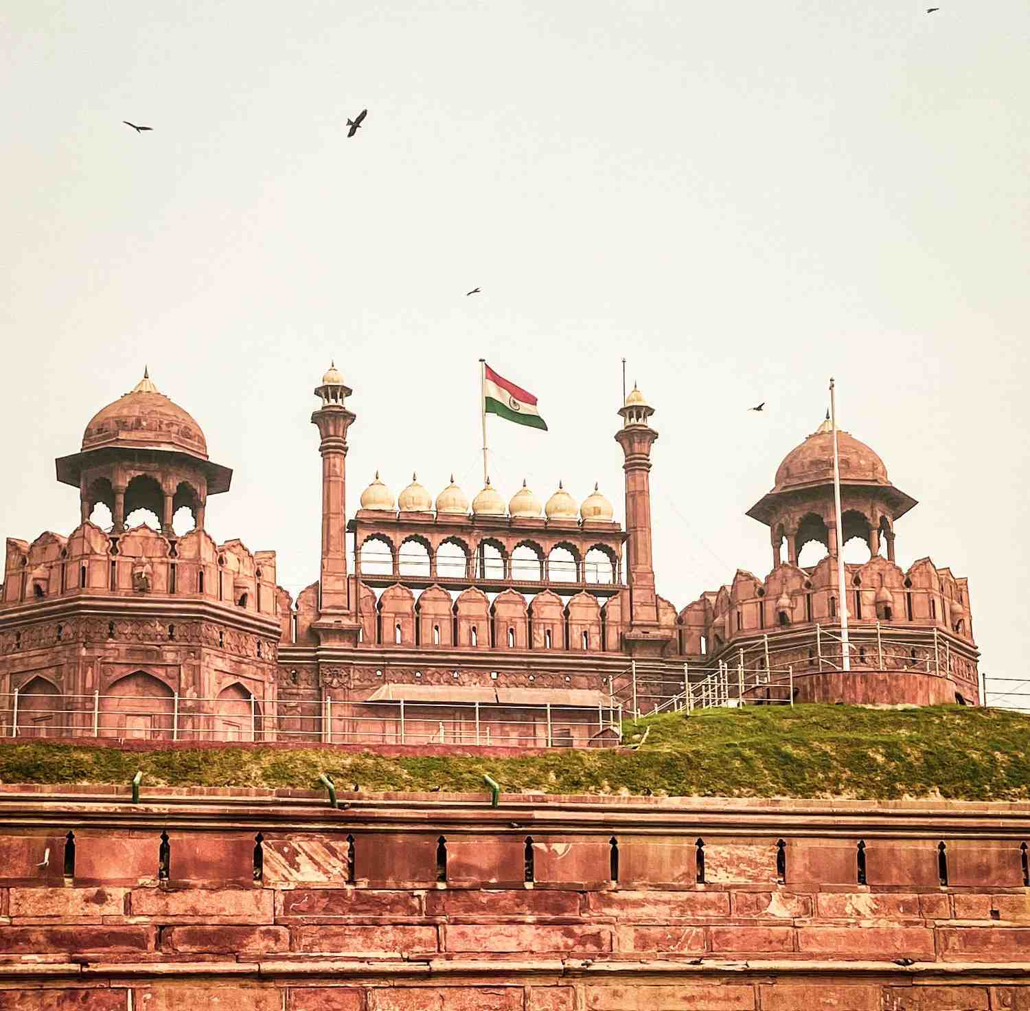 DELHI'S WEBSITE DESIGN & DEVELOPMENT AGENCY