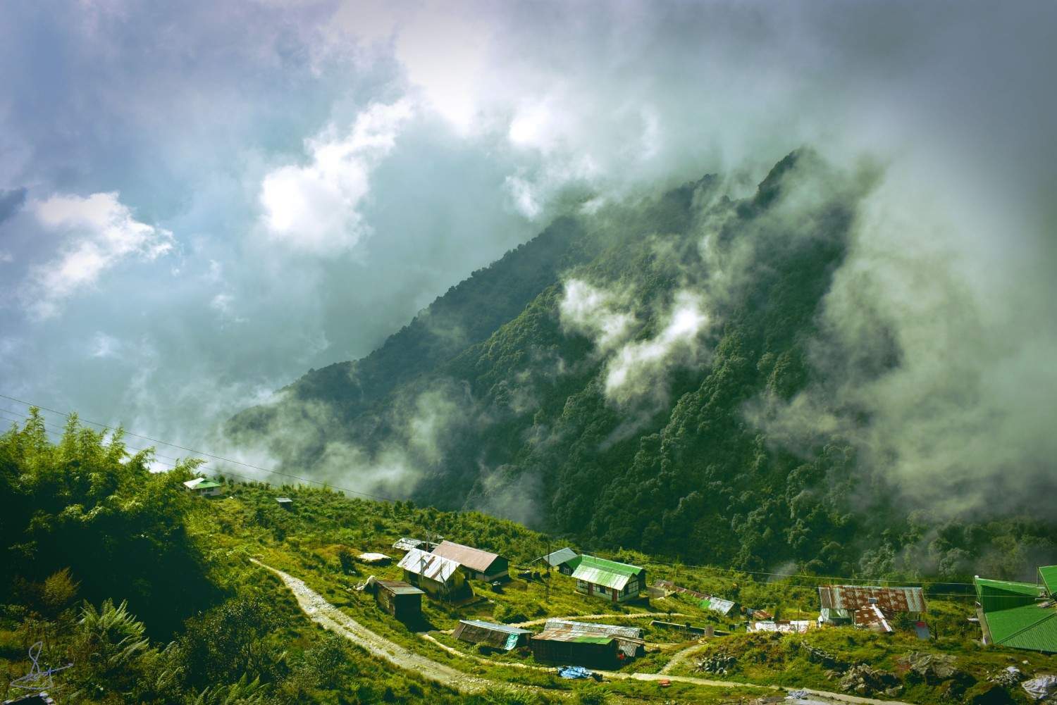 Sikkim landscape