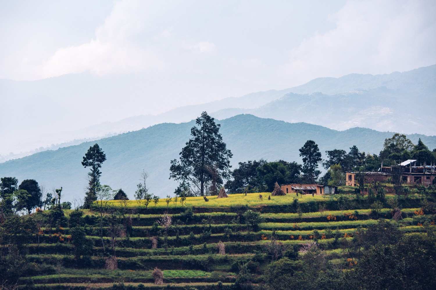 Website design and development services for businesses in Nepal with modern, responsive, SEO-friendly websites